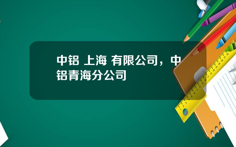 中铝 上海 有限公司，中铝青海分公司